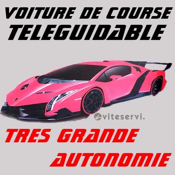 Voiture de Course à Telecommande Need for Speed
