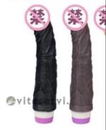 Sextoy Pénis Vibrant