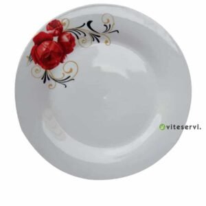 Lot de 06 Assiettes en Céramique C1