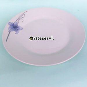 Lot de 06 Assiettes en Céramique C3