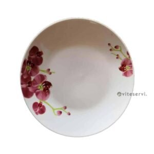 Lot de 06 Assiettes en Céramique C2