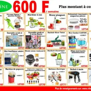 Mini Tontine 2