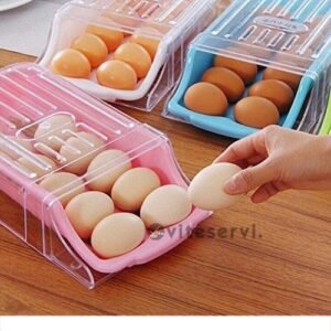 Porte d'oeuf en plastique P108