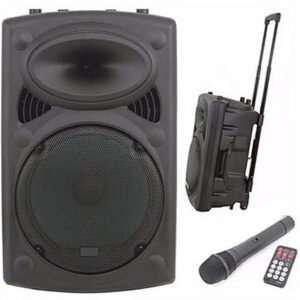 Woofer JIEPAK Rechargeable Bluetooth X BASS Microphone sans fil Radio Carte SD / Haut-parleur USB
