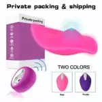 Vibromasseur portable avec culotte SexToy