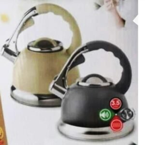 Bouilloire en Inox 3,5L chauffe eau