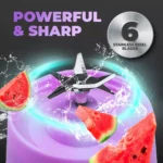 Mixeur électrique Extracteur de jus portable Rechargeable USB Shake and Take S-89 pour salle de gym