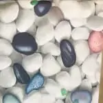 98207298 1519633344903470 8156254267900952576 o