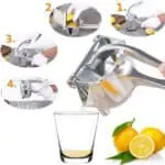 Presse agrume jus d'orange mandarine pamplemouse