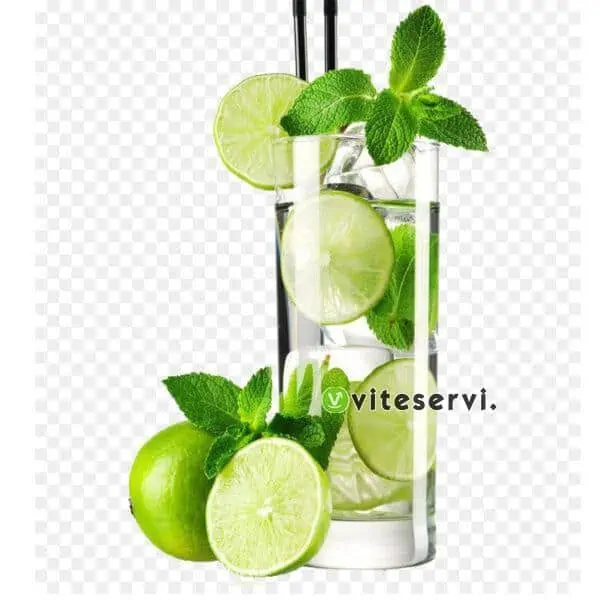Série de 06 verres lisses V-12