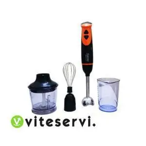 Mixeur Plongeant SAYONA 4 en 1