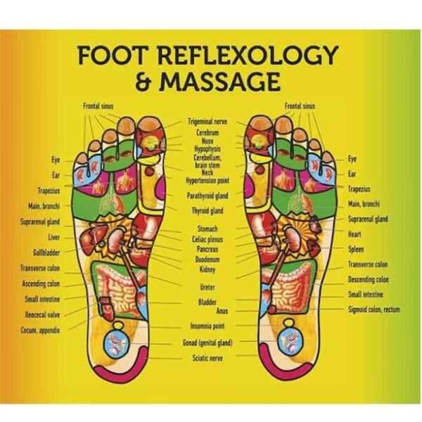 10141821 images6 jpeg jpegb8e70b8cebe0822fdd8baa3435f1ac08 Tapis de massage pour pieds pyramide outil de massage des semelles