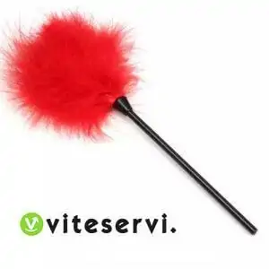 Jouets sexuels pour couples, bâtons de plumes colorées
