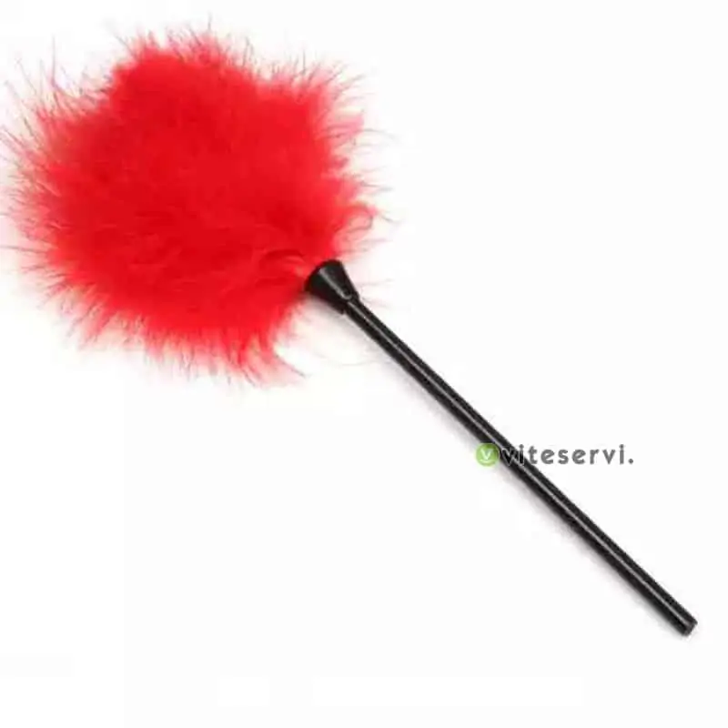 plume sextoys Jouets sexuels pour couples, bâtons de plumes colorées
