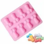 Moule en forme de penis rose beauf viteservi 5