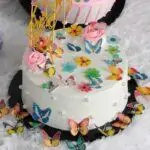 Boîtes de papillon pour décoration de gâteau