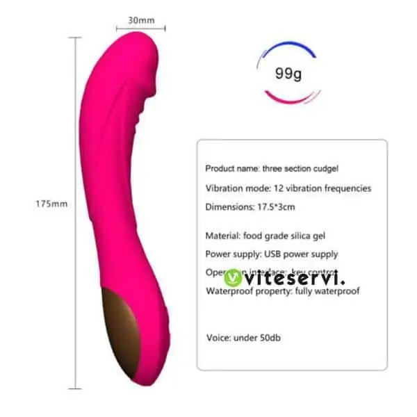 Sextoy vibromasseur gode pour femmes à 12 vitesses rechargeables