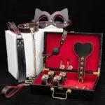 Valise BDSM de Luxe - Ensemble de bondage Zwart