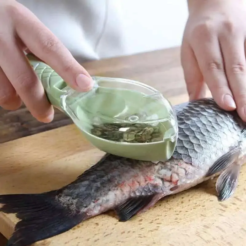 Écailleuse à poisson originale en plastique Écailleuse à poisson originale en plastique