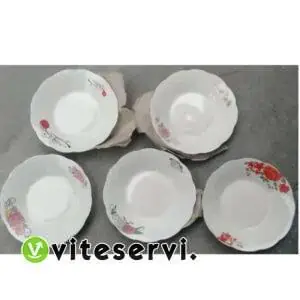 Set de 12 assiettes fleuris de qualités