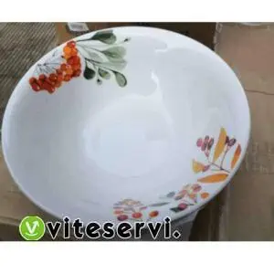Set de 06 assiettes creux fleuris de qualités