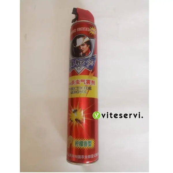 INSECT Insecticide Aerosol anti moustique, mouche et cafard grande bouteille