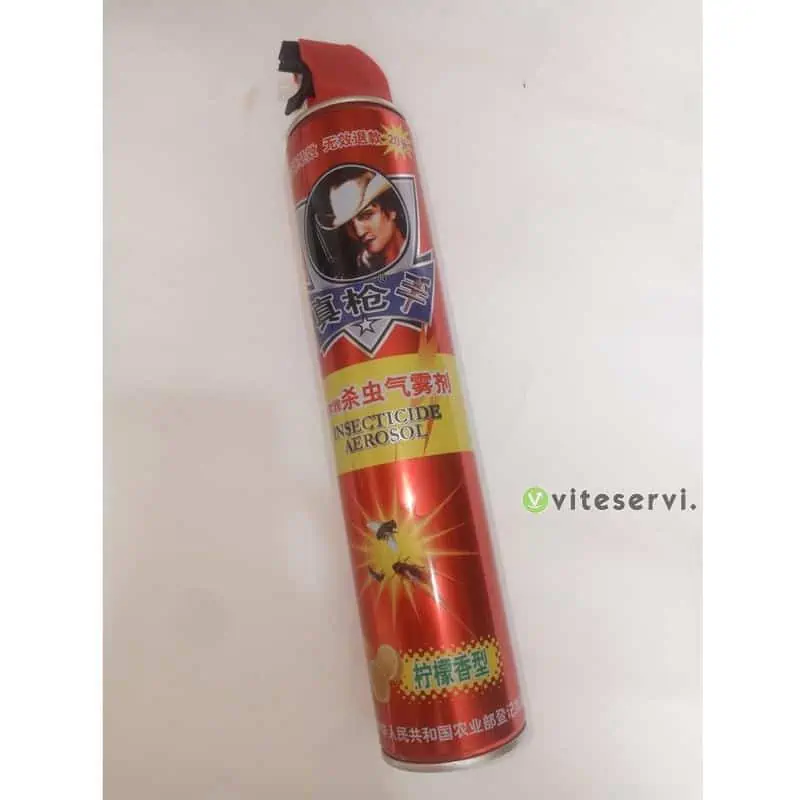 INSECTICIDES Insecticide Aerosol anti moustique, mouche et cafard grande bouteille