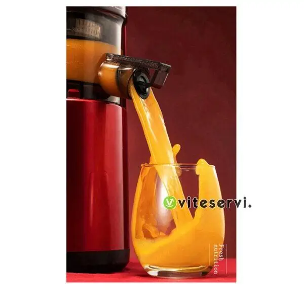 JUICER Extracteur de jus électrique professionnel SOKANY JE-25