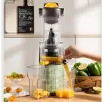 Extracteur de jus électrique SOKANY JE-32