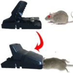 Attrape Souris Piège Efficace Souricière contre musaraigne