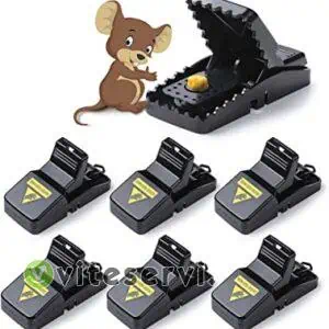 Attrape Souris Piège Efficace Souricière contre musaraigne