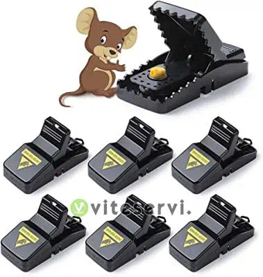 Attrape Souris Piège Efficace Souricière contre musaraigne