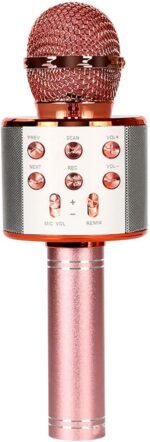 Microphone sans fil Bluetooth Micro portable Haut-parleur Bluetooth pour chanter en soirée avec changement de voix