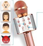 Microphone sans fil Bluetooth Micro portable Haut-parleur Bluetooth pour chanter en soirée avec changement de voix
