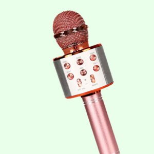 Microphone sans fil Bluetooth Micro portable Haut-parleur Bluetooth pour chanter en soirée avec changement de voix
