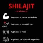 Shilajit complément alimentaire pour homme et femme pour améliorer les systèmes immunitaire