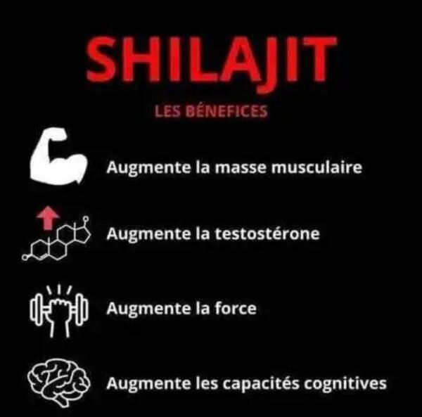 Shilajit complément alimentaire pour homme et femme pour améliorer les systèmes immunitaire