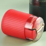 Distributeur automatique de pique-dents à poussoir pour bars, hôtels, maison