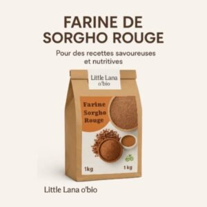 Farine de Sorgho Rouge 100% BIO 1 Kg