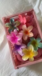 Pince en fleure hibiscus