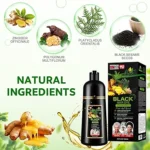 Shampooing Colorant Noir 4 en 1 pour Cheveux Gris, Teinture Capillaire Naturelle Longue Durée, Couverture Optimale et Effet Instantané, Formule Herbal 500ml