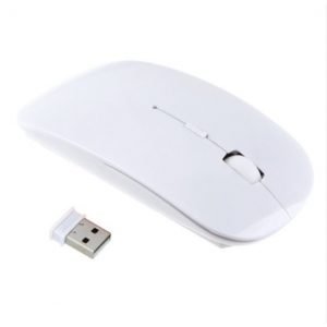 Souris sans fil 300x300